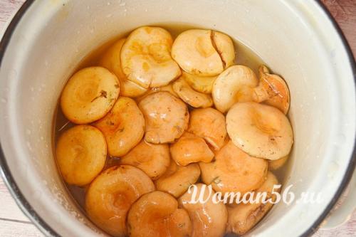 Рыжики в сметане. Жареные рыжики со сметаной