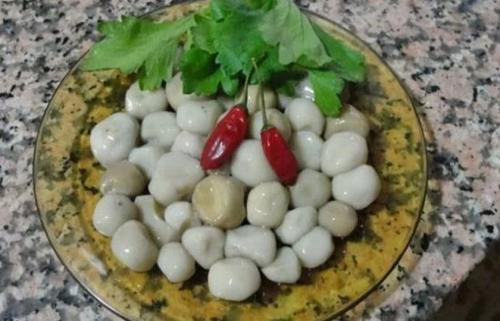 Гриб дождевик приготовление. Рецепты приготовления гриба дождевика