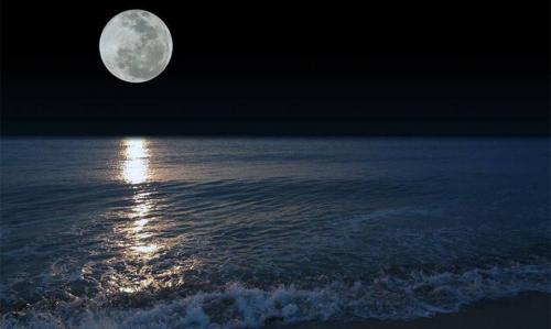 Когда садить чеснок 2019. Когда сажать чеснок в 2019 году – лунный календарь посадки