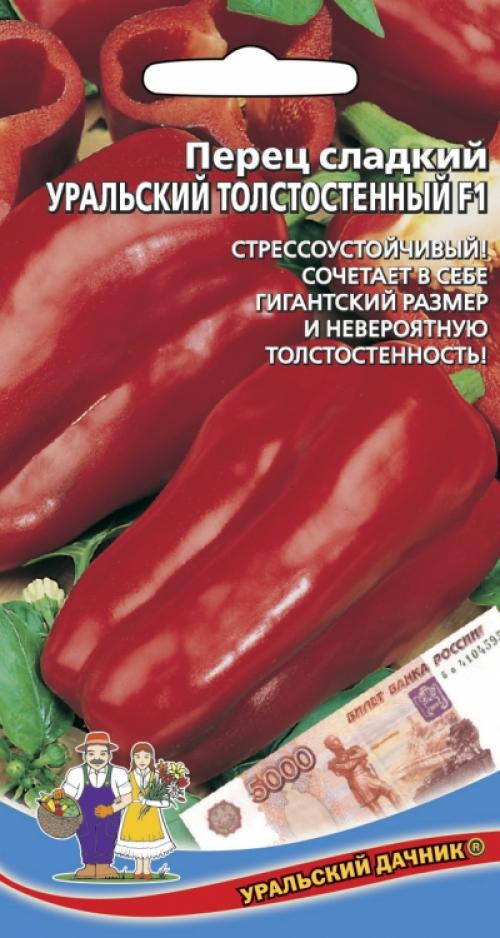 Перец Уральский толстостенный. Выведенный для самого сурового климата перец — Уральский толстостенный F1: описание сорта и характеристика