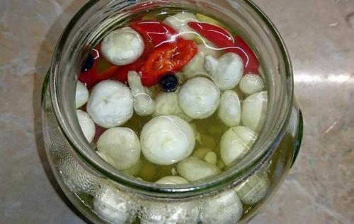 Гриб дождевик приготовление. Рецепты приготовления гриба дождевика