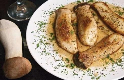 Белый горный гриб, как готовить. Белый степной гриб: приготовление