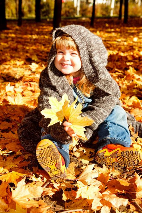 листья осенью окрашиваются в желтый цвет эту окраску листьям придают. как объяснить ребенку, почему листья на деревьях меняют цвет? отвечаем и экспериментируем.