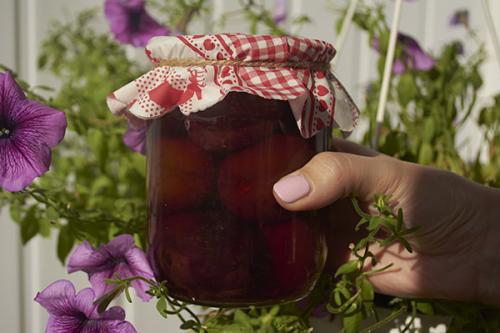 Маринованные сливы, как оливки на зиму. Сливы, маринованные на зиму, как оливки 11