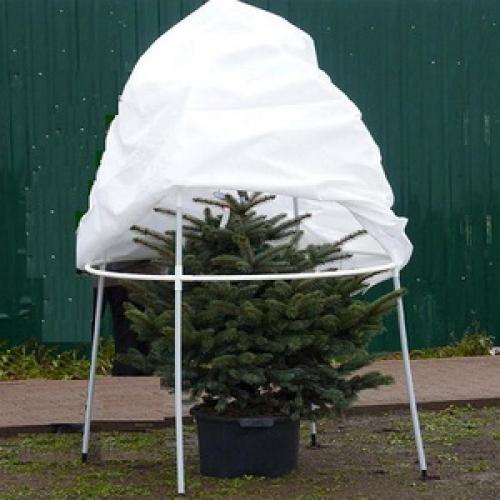 Укрытие туи смарагд на зиму. Как правильно укрыть туи на зиму: защитить от снега и солнца