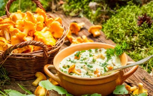 Лисички грибы. Лисички — основные съедобные и несъедобные виды, полезные свойства и советы по хранению + фото