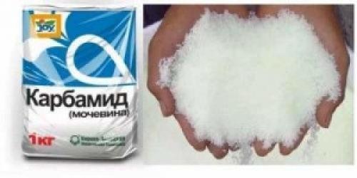 Обработка сада мочевиной и железным купоросом. Осенняя обработка сада железным купоросом и мочевиной