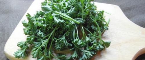 Петрушка, как сохранить на зиму. Сушка 05