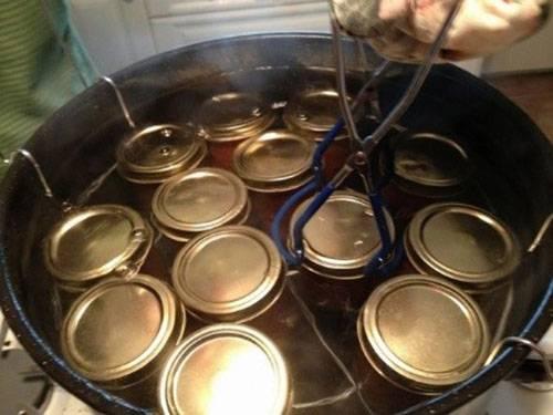 Сливы в собственном соку с сахаром на зиму рецепты. Слива дольками для сладкоежек