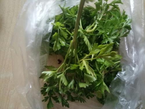 Как сохранить петрушку на долгое время. Сохраним петрушку до зимы на грядке. Открываем секреты. Едим свежую зелень с огорода до декабрьских морозов