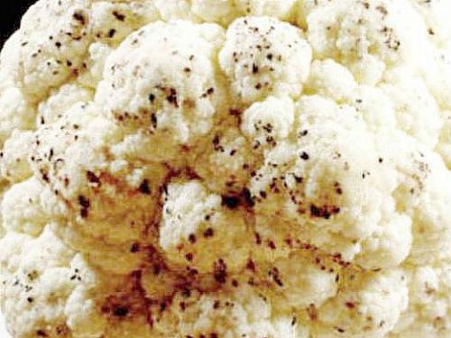 Розовый налет на цветной капусте. Навигация по записям