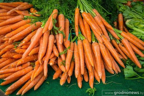 Оптимальные сроки уборки моркови. Благоприятные дни для уборки 03