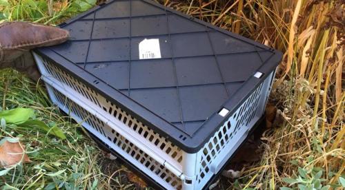 Подзимний посев томатов. Приветствую вас на моём канале, уважаемые читатели! 11