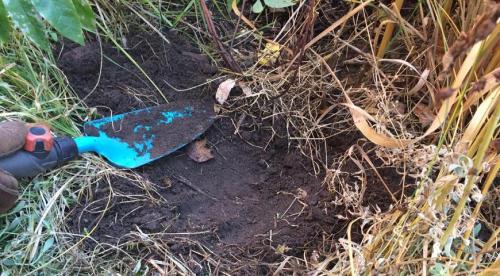 Подзимний посев томатов. Приветствую вас на моём канале, уважаемые читатели! 09