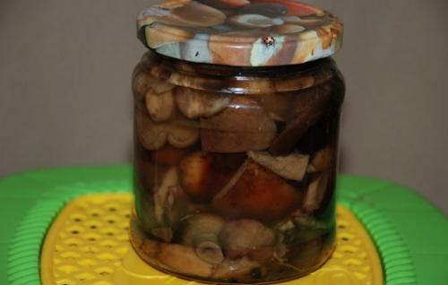 Как консервировать свинушки на зиму. Выбор и подготовка ингредиентов