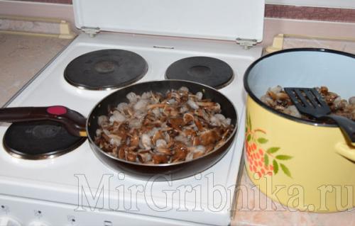 Надо ли варить опята. Как варить опята 06