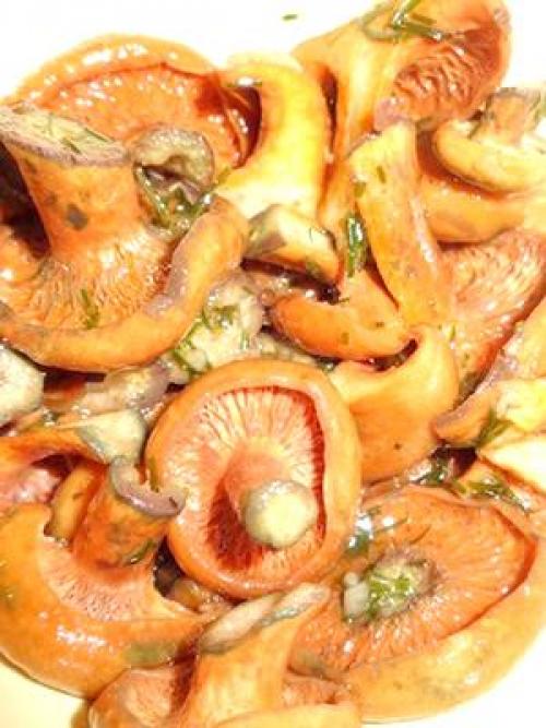 Соленые грибы закисли, что делать. Как можно реанимировать забродившие засоленные рыжики?