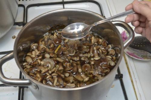 Сколько варить опята для маринования. Маринованные опята с уксусом – самый вкусный рецепт
