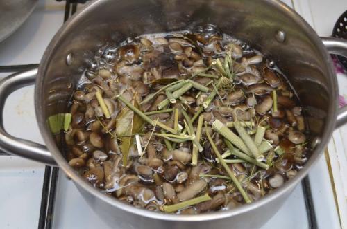 Сколько варить опята для маринования. Маринованные опята с уксусом – самый вкусный рецепт