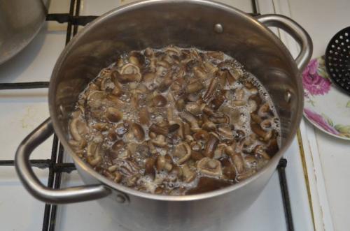 Сколько варить опята для маринования. Маринованные опята с уксусом – самый вкусный рецепт