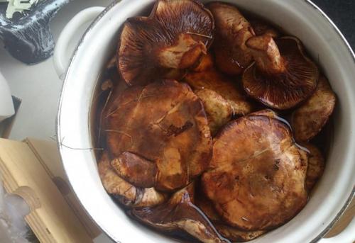 Как консервировать свинушки на зиму. Выбор и подготовка ингредиентов