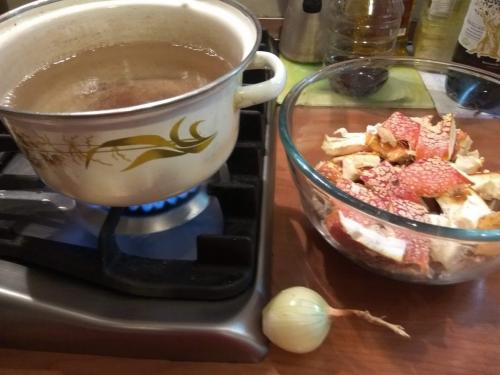 Какие грибы синеют при варке. Можно ли определить, есть ли среди грибов ядовитые, во время их приготовления