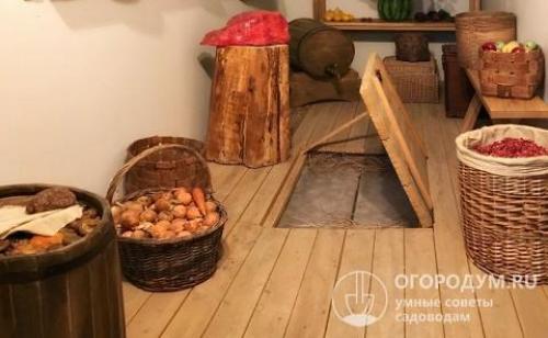 Как сохранить луковицы тюльпанов для посадки весной. Летне-осеннее хранение