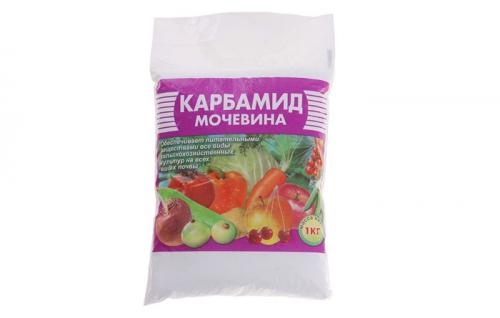 Как бороться со снытью на дачном участке. Как можно бороться со снытью на садовом участке