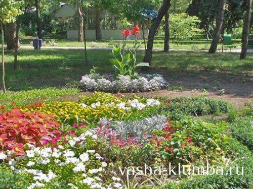 Клумба цветущая с ранней весны до поздней осени. Для дачи в цвету с весны до осени 28