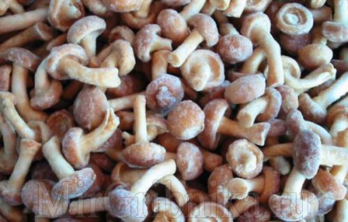 Надо ли варить опята. Как варить опята 04