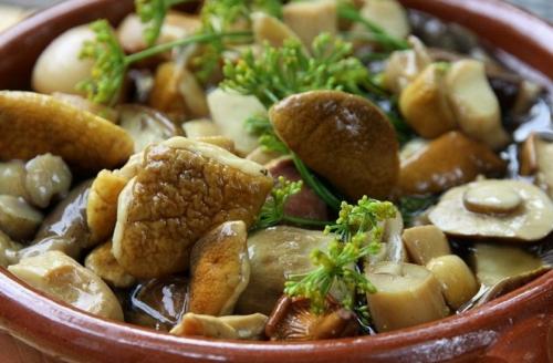 Что делать с польскими грибами. Выбор и подготовка ингредиентов