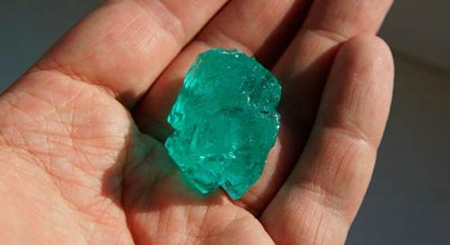 Осенняя обработка плодовых деревьев мочевиной. Осенняя обработка сада мочевиной. Дешево, доступно, эффективно 01