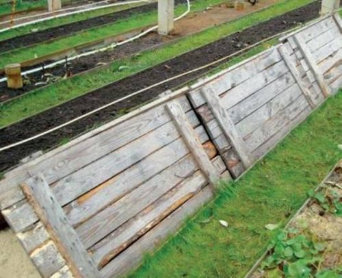 При какой температуре укрывают виноград в зиму. Когда и какое необходимо укрытие