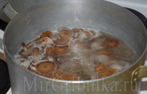 Надо ли варить опята. Как варить опята 05