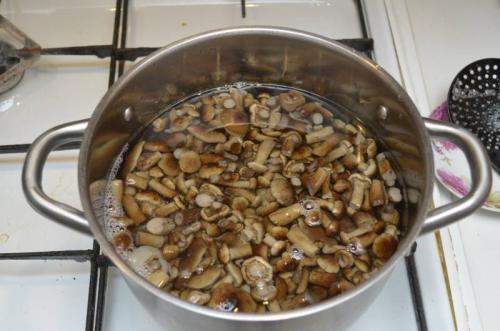 Сколько варить опята для маринования. Маринованные опята с уксусом – самый вкусный рецепт