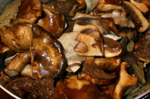 Как консервировать свинушки на зиму. Выбор и подготовка ингредиентов