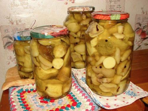 Что за грибы курочки. Как найти и заготовить на зиму грибы курочки 10