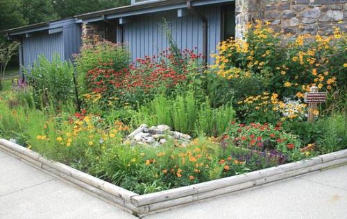 Клумба цветущая с ранней весны до поздней осени. Для дачи в цвету с весны до осени 27