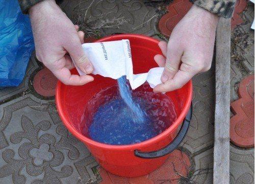 Чем обработать яблони и груши от парши. 5 способов борьбы с паршой на яблонях и грушах