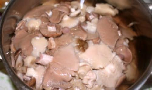 Рядовка белая, как готовить. Как правильно готовить рядовки: обработка, соление и маринование грибов