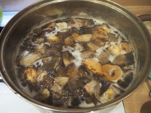 Маринованные подосиновики без стерилизации. Маринованные подосиновики на зиму — простой рецепт приготовления горячим способом с уксусом