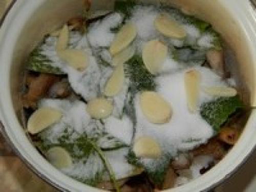 Рыжики, как солить. Рыжики холодного посола