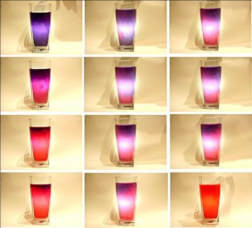 Чем отличается красная капуста от белокочанной. Выращивание краснокочанной капусты 09