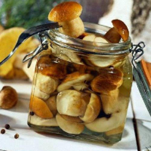 Как солить грибы в домашних условиях. Засолка грибов на зиму в банках: рецепты