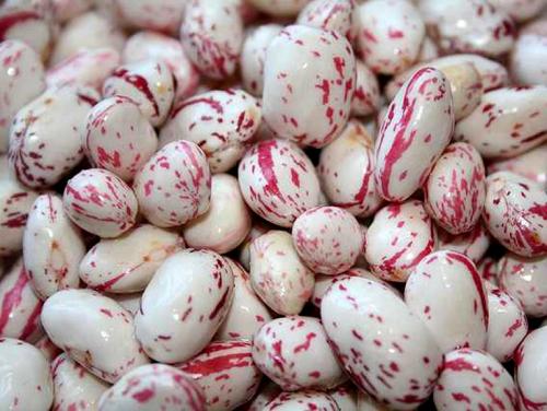 Салат с фасолью на зиму атлант. Зимний салат с фасолью на зиму 06 Салат с фасолью на зиму атлант. Зимний салат с фасолью на зиму 06