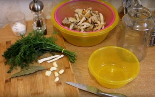 Как солить грибы в домашних условиях. Соление грибов в домашних условиях на зиму в банках