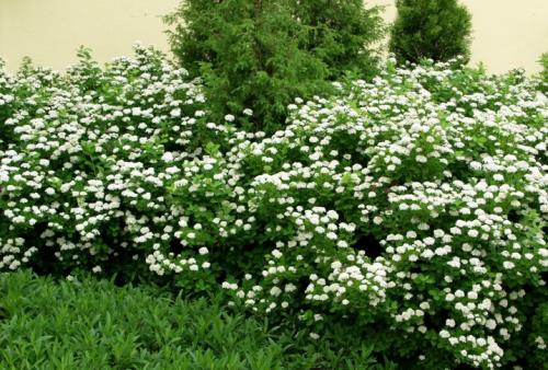 Какие ошибки чаще всего допускают начинающие при кардио тренировках дома 03