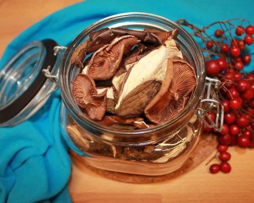 Польский гриб сушить. Как сушить грибы правильно (7 способов в домашних условиях)