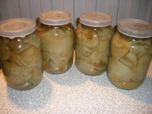 Как солить грибы в домашних условиях. Соление грибов в домашних условиях на зиму в банках