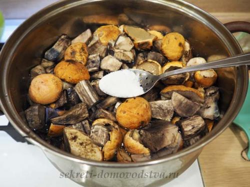 Маринованные подосиновики без стерилизации. Маринованные подосиновики на зиму — простой рецепт приготовления горячим способом с уксусом